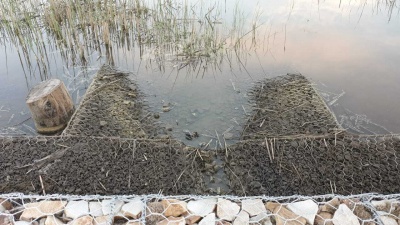 Уровень реки Сатиса - 3.jpg